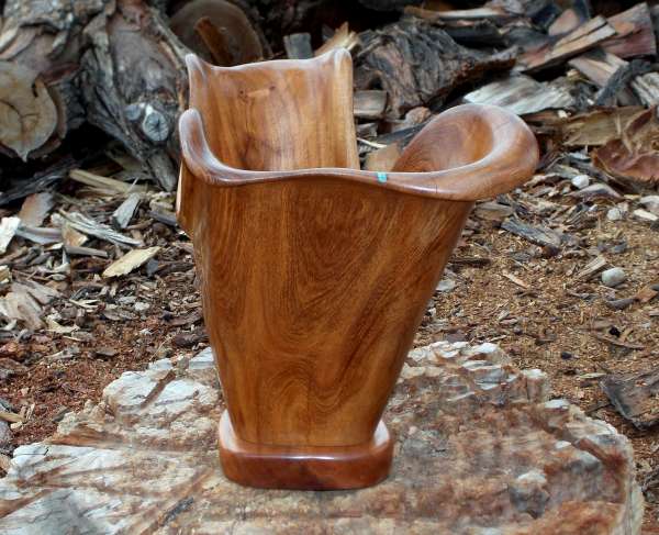 Sublime freeform hand-carved Mesquite vessel 2