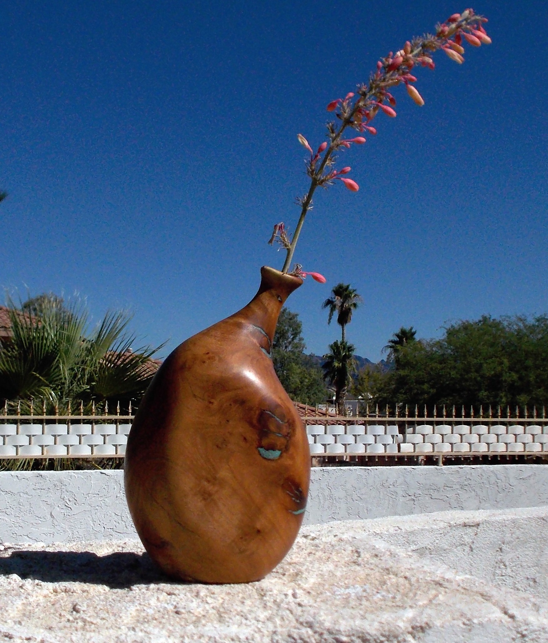 Mesquite Weed Pot 2 Don Burda Design