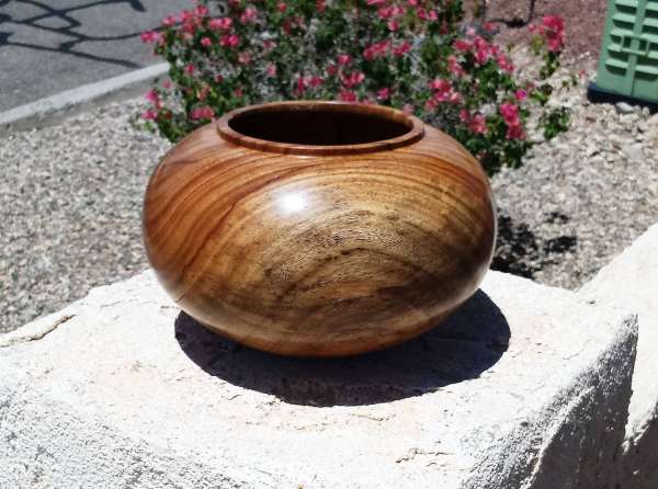 modern squat sphere ficus bowl