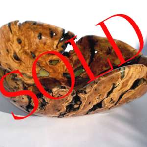 sold olive root